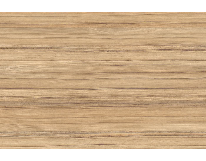 GAMELA COCO BOLO - Imagen 2